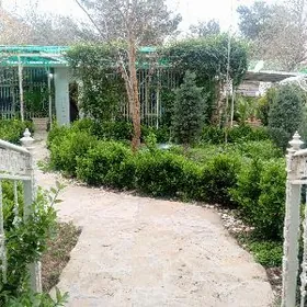 Şewçenko plan full jay