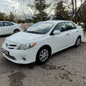 Toyota Corolla 2011