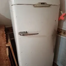 Holadilnik Holadilnik