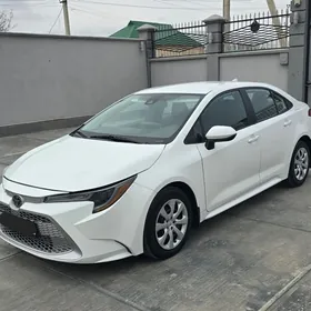 Toyota Corolla 2020