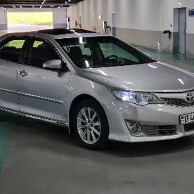 Toyota Camry 2013