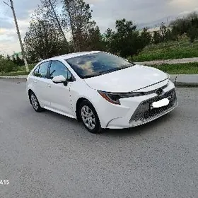 Toyota Corolla 2022