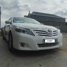 Toyota Camry 2010