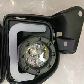 Tumannik hayse 2014-2025