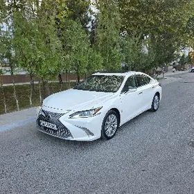 Lexus ES 350 2019