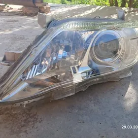 camry okuz kelle cep fara