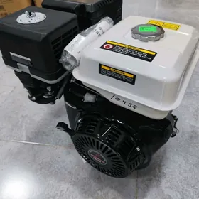 Diwitel Diwigatel yer suryan