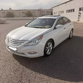 Hyundai Sonata 2010