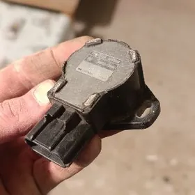 Kolo datcik. balykgulak