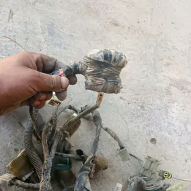 TOWNACE правотка