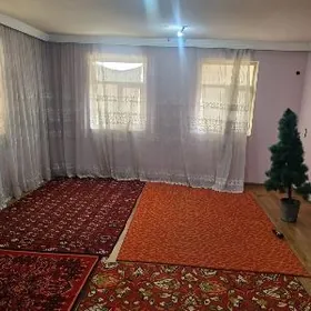 дача жайлар