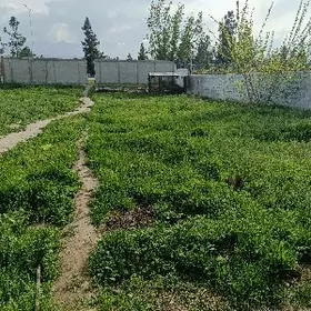 Mellek ýer eyesinden