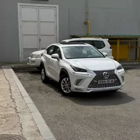 Lexus NX 300 2020