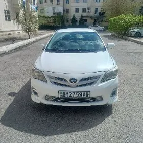 Toyota Corolla 2011