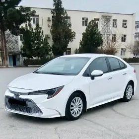 Toyota Corolla 2021