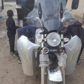 Fekon FK200-14G 2026