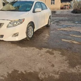 Toyota Corolla 2008