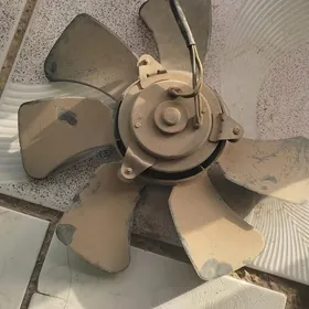 Matorjik avat ishlap dur