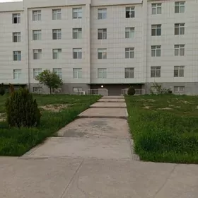 ARENDE GURTLY 120 KB Ofys