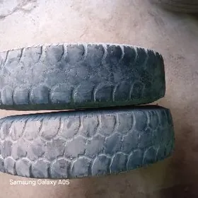 13.lik. kiya. bezkamir