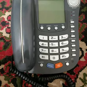 Domasny telefon