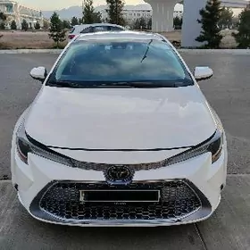 Toyota Corolla 2021