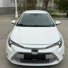 Toyota Corolla 2020