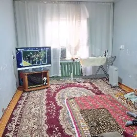 квартира жайлар