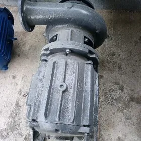 motor elektrodwigatel