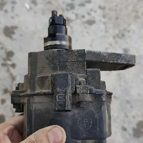 Tramblyor carona  2 lik morda