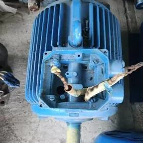 motor elektrodwigatel