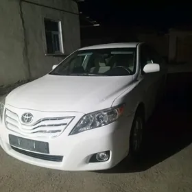 Toyota Camry 2010