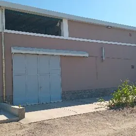 Daca saglyk yoly 5sotyk .