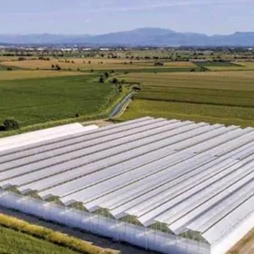 YYLADYSHANA PAMIDOR 10 GEKDAR