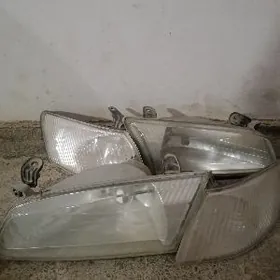 lisichka fara chuyshe morda