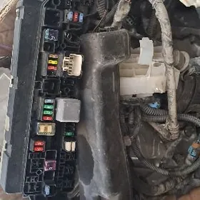 karollo tok prdahnitil