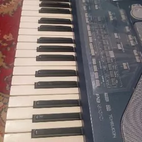 Korg pa800