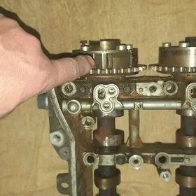 2.5 okuz kelle wanus