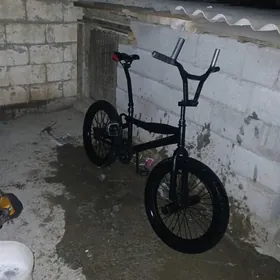 pacja tekerli 20lik tigir