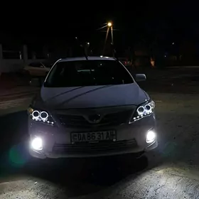 Karollo cyra sag tarap