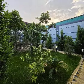 Satlyk Coganly Kotež! HayTek