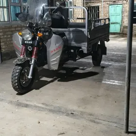 Fekon FK200-14G 2023