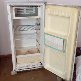 holadelnik  arassaja islap dur