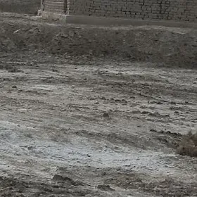 жай сатылар