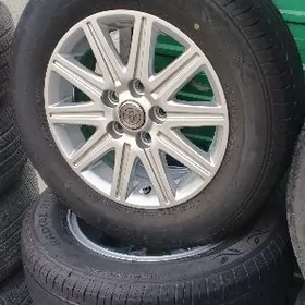 grant duty kemri disga