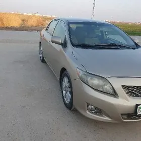Toyota Corolla 2010