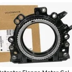 wilskagen audi yzky salnik