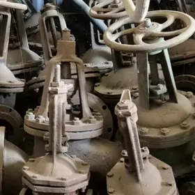 zadvişka 100 lik 150 lik