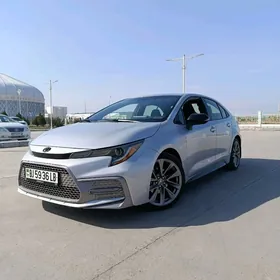 Toyota Corolla 2022