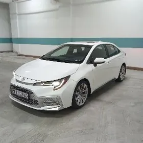 Toyota Corolla 2022